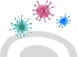 Antigens for 2015-2026 Influenza Vaccine Strains